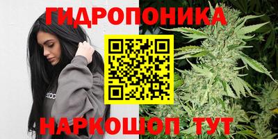 apvp Гусь-Хрустальный