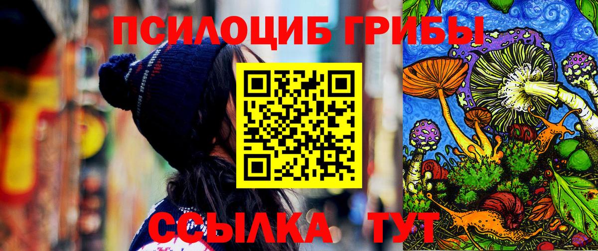 Псилоцибиновые грибы Psilocybine cubensis Медногорск