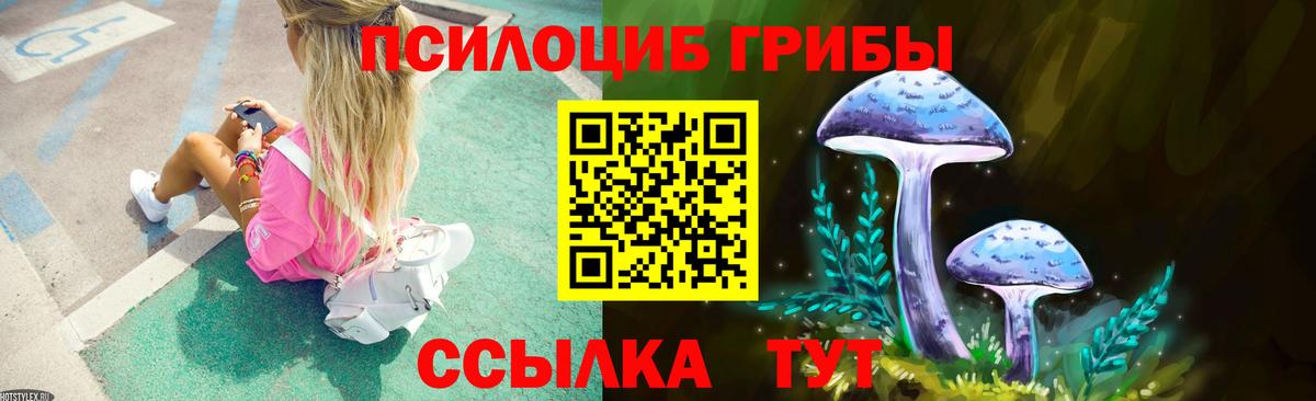 Медногорск  Псилоцибиновые грибы прущие грибы  Галлюциногенные грибы MAGIC MUSHROOMS  Вход с VPN 